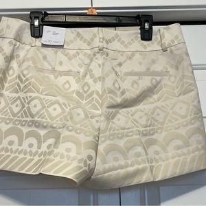 Brand New Loft Shorts